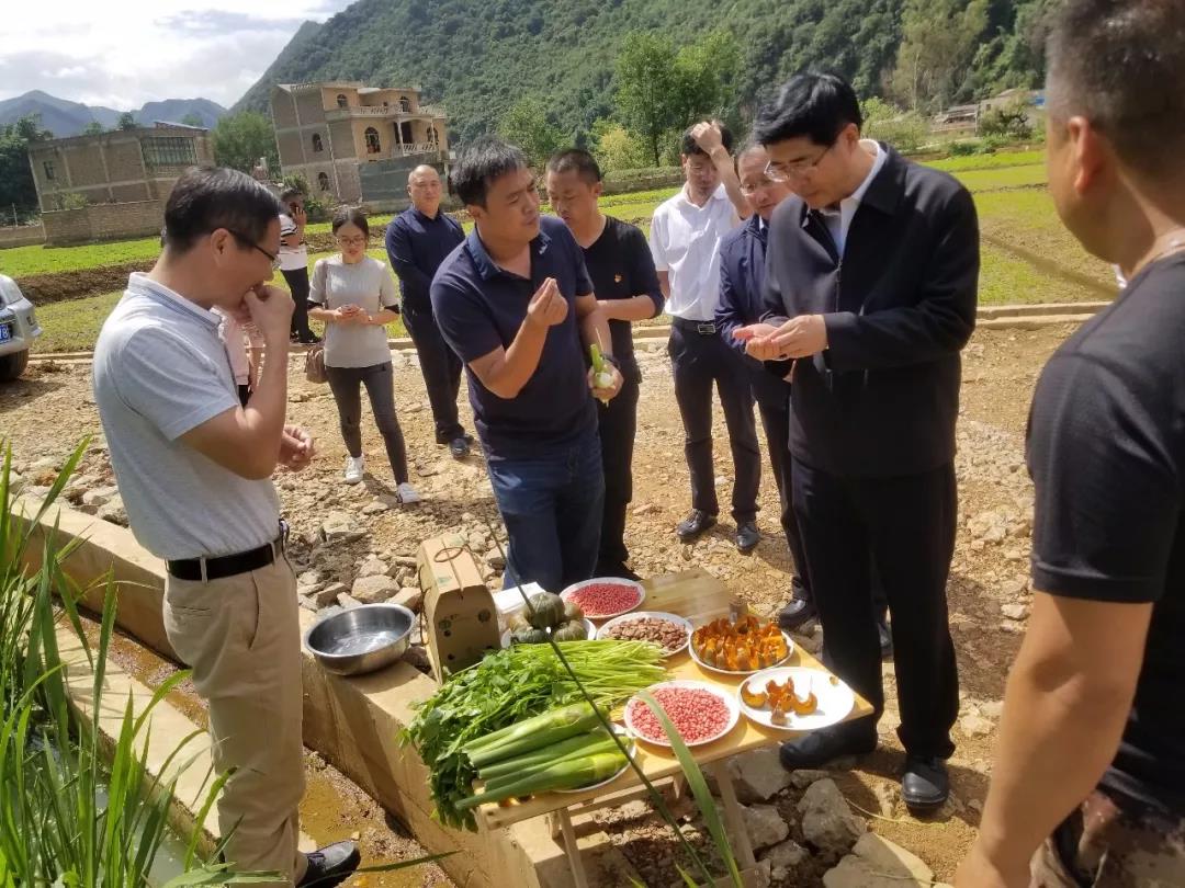 尊龙凯时·(中国)人生就是搏!