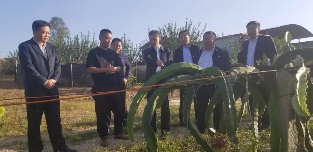 尊龙凯时·(中国)人生就是搏!