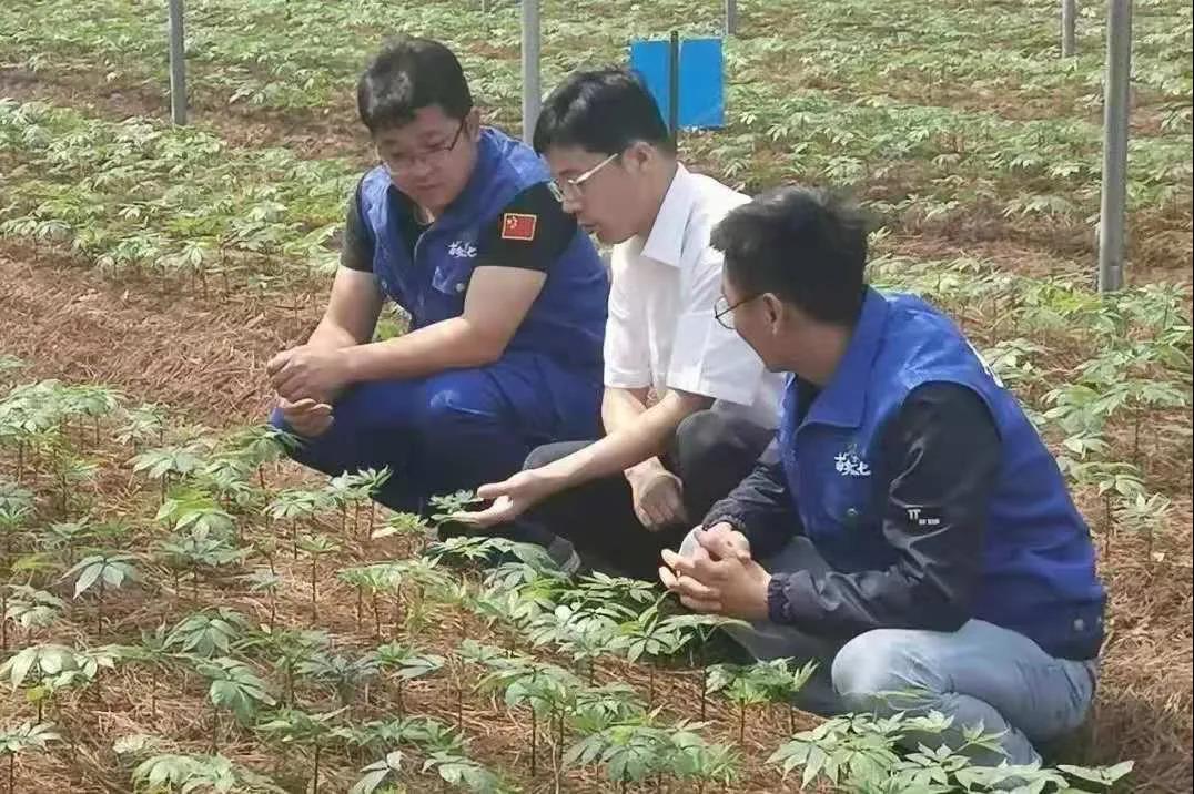 尊龙凯时·(中国)人生就是搏!